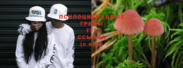 2c-b Белокуриха