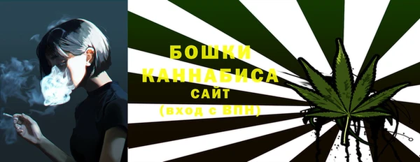 2c-b Белокуриха