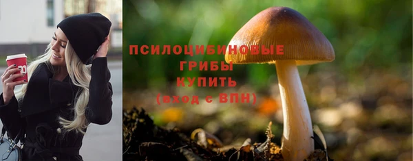 дживик Беломорск