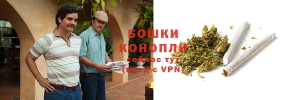 2c-b Белокуриха