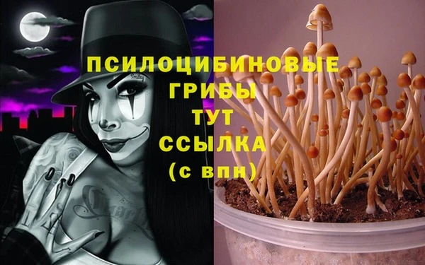 дживик Беломорск