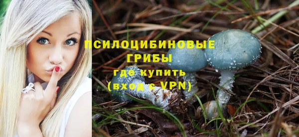 дживик Беломорск